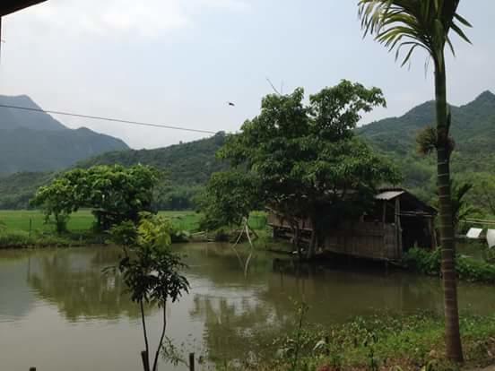 Linh Soi Homestay Mai Châu Exterior foto